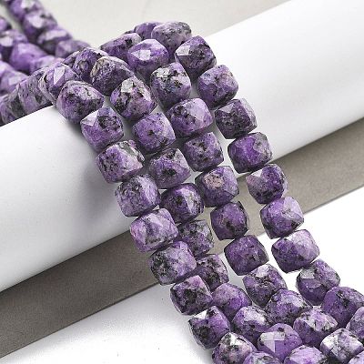 Dyed Natural Sesame Jasper Imitation Charoite Beads Strands G-C179-B01-01-1