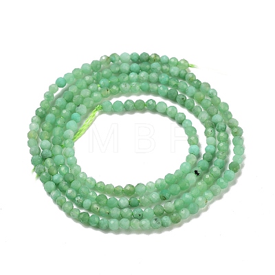 Natural Chrysoprase Beads Strands G-B088-C19-02-1