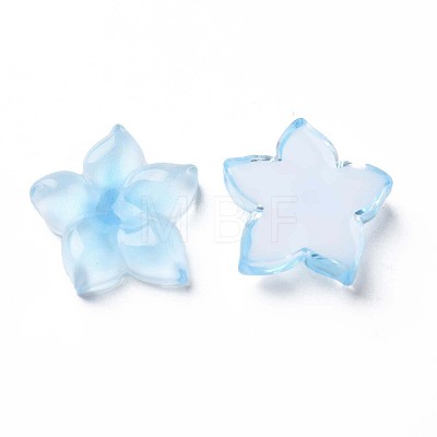 Transparent Epoxy Resin Cabochons CRES-S365-23B-1