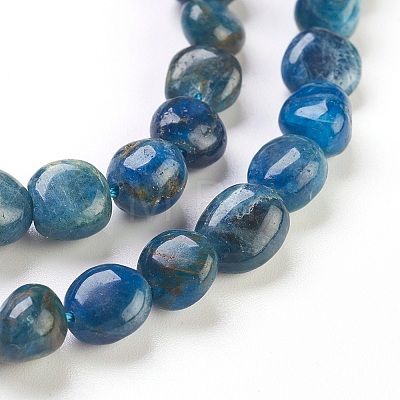 Natural Apatite Beads Strands X-G-F575-07-1