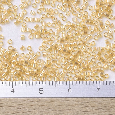 MIYUKI Delica Beads X-SEED-J020-DB0100-1