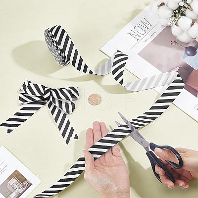 20Yards Polyester Stripe Pattern Ribbon OCOR-PH0036-33B-1