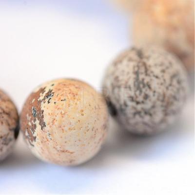 Frosted Natural Picture Jasper Round Bead Strands G-E334-10mm-26-1