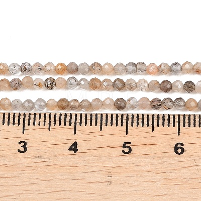 Natural Black Moonstone Beads Strands G-B175-D03-2mm-1