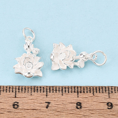 925 Sterling Silver Pendants STER-T009-14S-1