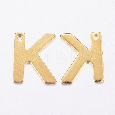 304 Stainless Steel Charms STAS-P141-K-1