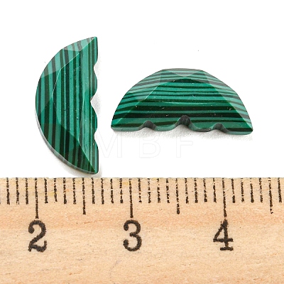 Natural Malachite Butterfly Wing Cabochons G-D078-02B-1