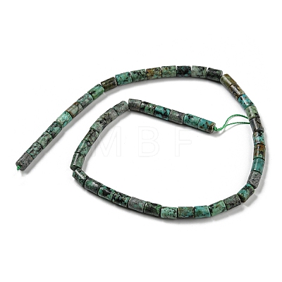 Natural African Turquoise(Jasper) Beads Strands G-Q1008-A09-1