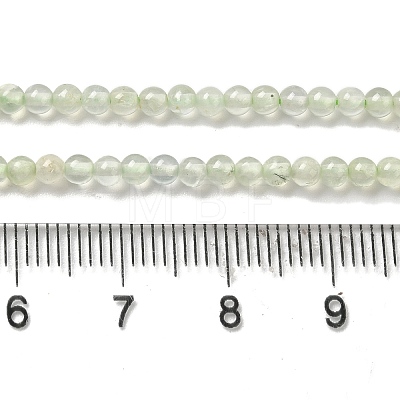 Natural Prehnite Beads Strands G-B090-A19-03-1