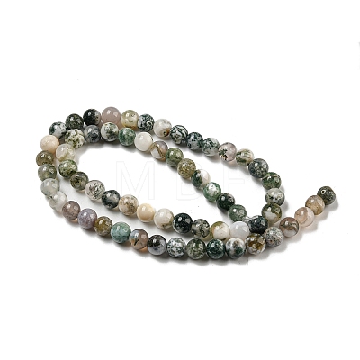 Natural Tree Agate Round Gemstone Beads Strands G-R255-6mm-1