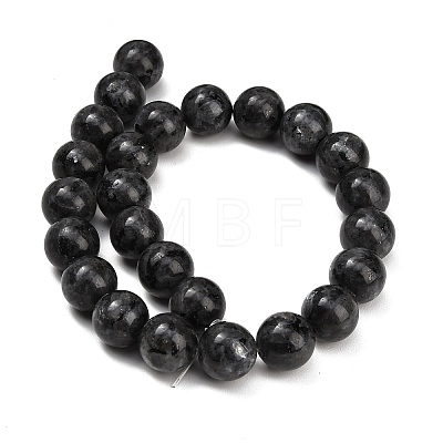 Natural Larvikite Beads Strands GSR16mmC128-1