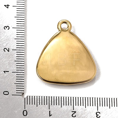 304 Stainless Steel & Natural Paua Shell Pendants SH-CBA7184-01E-G-1