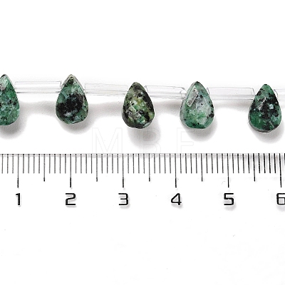 Dyed Natural African Turquoise(Jasper) Beads Strands G-Q167-A14-02-1