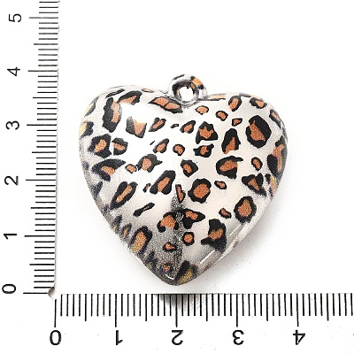 Acrylic Pendants OACR-S043-04A-1