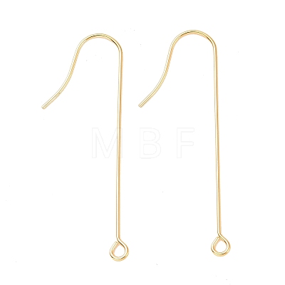 316 Surgical Stainless Steel Earring Hooks X-STAS-E027-02A-G-1