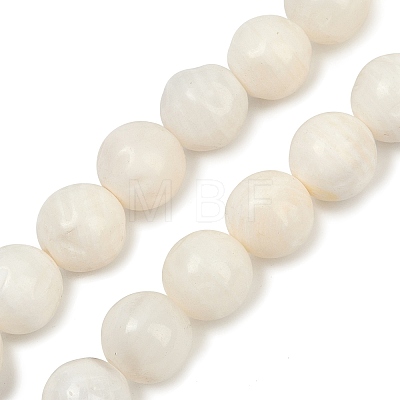 Natural White Shell Beads Strands BSHE-U001-01A-1