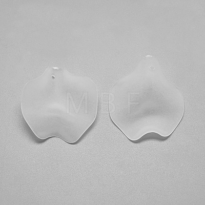 Transparent Acrylic Pendants S-FACR-S031-SB518-1