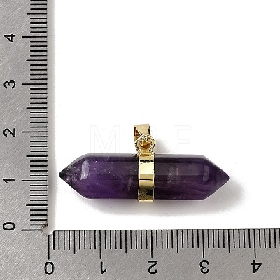 Natural Amethyst Double Terminal Pointed Pendants G-NH0001-15G-10-1