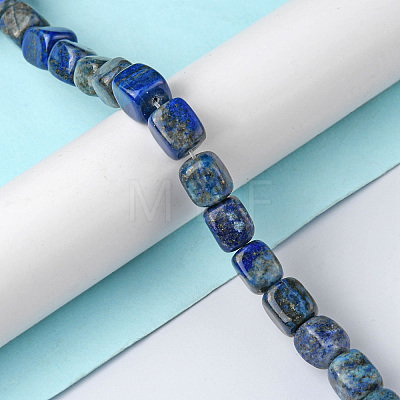 Natural Lapis Lazuli Beads Strands G-F743-02Q-1