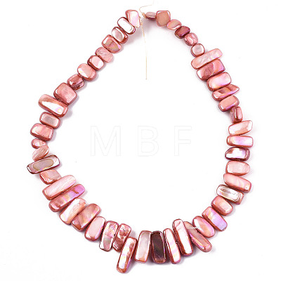 Natural Freshwater Shell Beads Strands X-SHEL-N026-123C-1