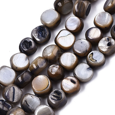 Natural Freshwater Shell Beads Strands SHEL-S276-110B-01-1