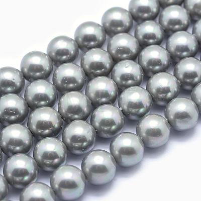 Shell Pearl Beads Strands BSHE-L026-05-8mm-1