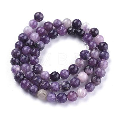 Natural Lepidolite/Purple Mica Stone Beads Strands G-K415-6mm-1