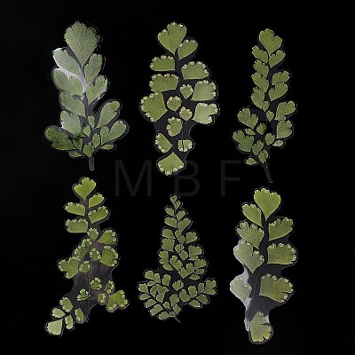 6Pcs Plant PET Adhesive Waterproof Stickers DIY-K074-01A-1