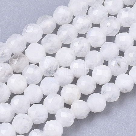 Natural Rainbow Moonstone Beads Strands G-R462-032B-1