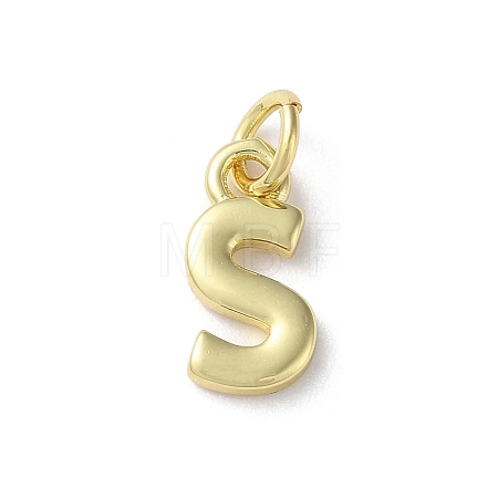 Rack Plating Brass Charms KK-P245-06G-S-1