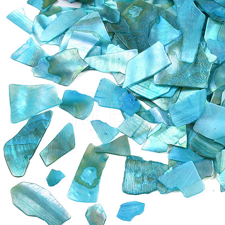 Natural Abalone/Paua Shell Mica Fragment MRMJ-N026-001-A05-1