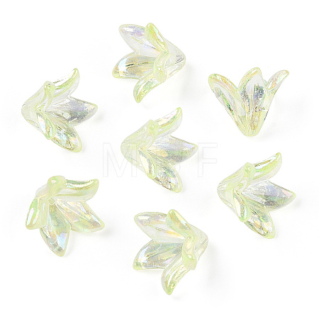 Transparent Acrylic Bead Caps OACR-H016-05C-1