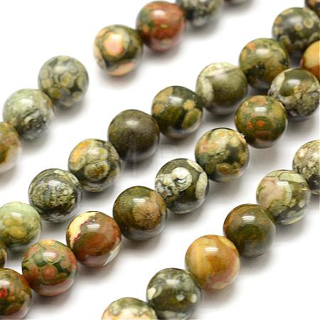 Natural Rhyolite Jasper Bead Strands G-G684-01-4mm-1