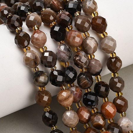 Natural Petrified Wood Beads Strands GG-CBA4A3B-A08-1