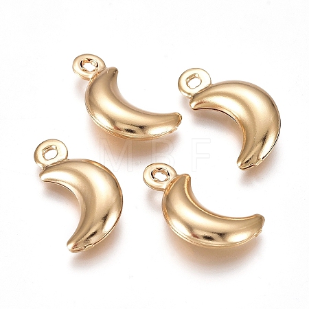 304 Stainless Steel Pendants LS-X-STAS-I138-05G-1