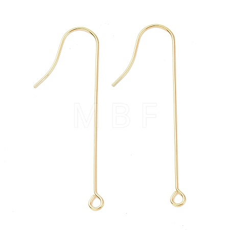 316 Surgical Stainless Steel Earring Hooks X-STAS-E027-02A-G-1