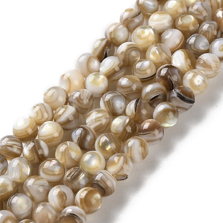 Natural Freshwater Shell Beads Strands X-SSHEL-B002-15-1