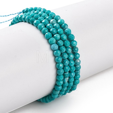 Natural Howlite Beads Strannds G-C025-02A-03-1