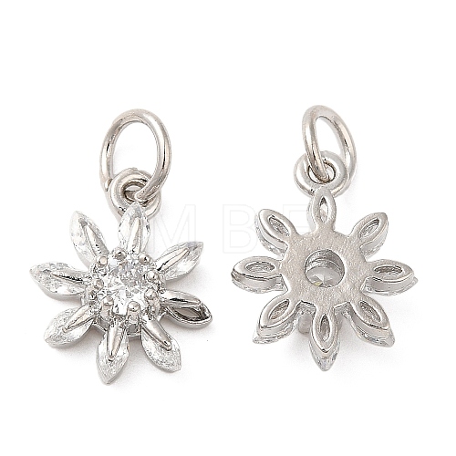 Rack Plating Brass Micro Pave Clear Cubic Zirconia Charms KK-Z026-15P-1