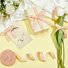 Cotton and Linen Ribbon SRIB-WH0012-13C-4
