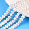 Natural Cultured Freshwater Pearl Beads Strands PEAR-N013-06V-1