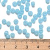 TOHO 6/0 Round Beads SEED-XTR06-1143-3