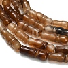 Natural Agate Beads Strands G-Z144-A02-01A-4