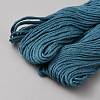 Cotton Embroidery Floss DIY-WH20062-145A-2