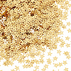 100G PET Paillette/Sequins Pendants KY-CY0001-24A-1