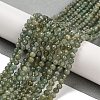 Natural Green Apatite Beads Strands G-G105-A02-03-2