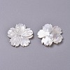 Natural White Shell Beads BSHE-XCP0001-84-2
