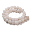 Natural Weathered Agate Beads Strands G-P538-A01-14-2