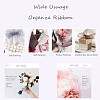 Organza Ribbon RS6mmY040-7