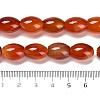 Natural Agate Beads Strands G-B079-E01-01A-5